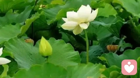 健康，是藏在岁月里最温柔的馈赠