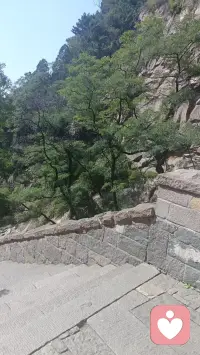 不要用自己的思维框住自己的人生和别人的生活，幸福没有固定的样子，现在的样子就是幸福。配图