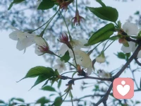 没有哪个人的生活那么完美精致，忽略细枝末节。沟通是在尊重的基础上，我们所谓的沟通是抱着修理别人，改变别人的心。配图