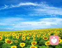 要求别人，就是放弃了自己的成长。