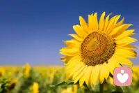 看不惯他人身上的问题，感恩他用伤害自己的方式教会你成长。