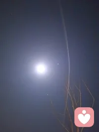 漆黑的夜，静谧的的风，温柔的灯光，守候你内心那片寂静的留白！配图