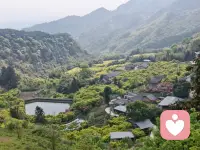 走过千山万水，是否停留过呢？