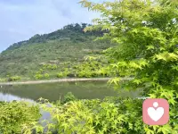 1今日倾听营业，愿你被温柔以待。