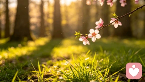 青春期陪伴指南