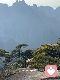 欲买桂花同载酒，终不似，少年游。配图