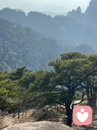 欲买桂花同载酒，终不似，少年游。配图