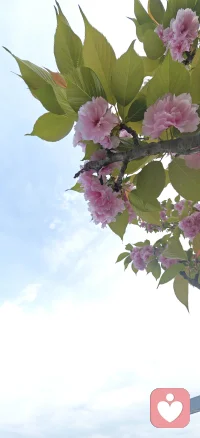 真心真意的爱自己，先学会热爱自己，你才会真正懂得爱这个世界。配图