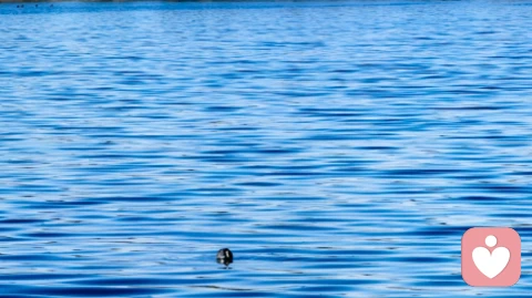 当孩子厌学在家