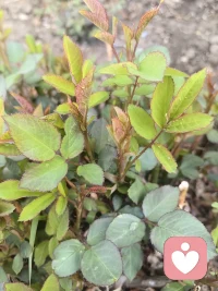 不论你是处于人生的哪个阶段，幸福也好，痛苦也罢，都是为了成就你。