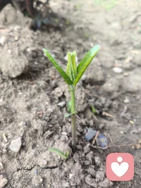 不论你是处于人生的哪个阶段，幸福也好，痛苦也罢，都是为了成就你。