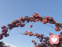 不管多少岁，心里永远住着一个小朋友