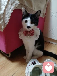 ❤❤自己/与身体深度对话❤❤
      
         我是一切的根源，因为我是自己世界的创造者，而爱又是这一切

   一切的解答，从❤出发，从新看待自己。你若安好世界一切安好。人

  人发光，人人🈶❤的时代即将到来！

        从❤出发，站在高维的视角轻松解决低维的问题！配图