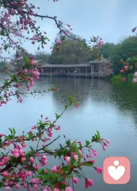 早上好呀，美好的一天从早安开始配图