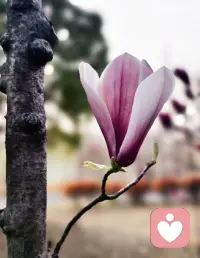 1. 接纳自己的脆弱，不必时时刻刻坚强。

2. 内耗的本质，是反复和无法改变的过去较劲。

3. 好好睡觉，是最低成本的心理疗愈。

4. 优先取悦自己，才是终身浪漫的开始。