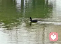 真正强大的人，不是没有难过与愤怒，而是再难过也不随意伤人，再委屈也不冲动行事。