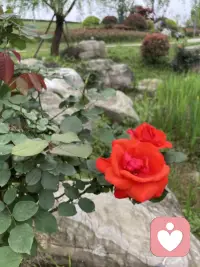 夫妻之道（第一言）：夫妻之间把期望值减小，可能会顺心很多！