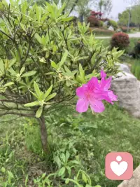 夫妻之道（第二言）：给对方私人空间，就是给自己私人空间。