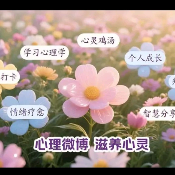 沐风解忧🙊