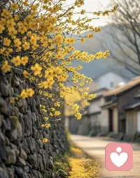 得之坦然，失之淡然；
争其必然，顺其自然。

人生不过是：

尽力做事，尽心做人。

所得所不得，皆不如心安理得。
世间所有最好，都不如刚刚好。