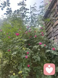 我可太喜欢春天了～路边野花蹭蹭开，连呼吸都变甜了😌