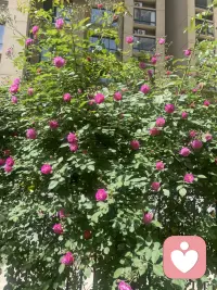我可太喜欢春天了～路边野花蹭蹭开，连呼吸都变甜了😌