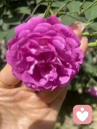 我可太喜欢春天了～路边野花蹭蹭开，连呼吸都变甜了😌