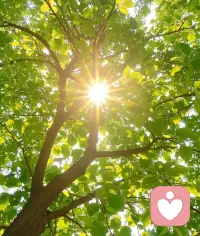 万物都在供养你
阳光从不问你是谁，照样温暖你；
雨水从不挑三拣四，照样滋润你；
大地默默承载，从不嫌弃你；
花草自然生长，只为给你一抹生机。
这世间所有的美好，都在无条件供养你、成全你。
你从来都不缺爱，
只是你总盯着别人的态度，忽略了天地万物，一直都在深爱你。
不必向外抓取认可，不必强求谁的陪伴，
不必因一段关系、一句评价、一次冷落，
就否定自己、消耗自己。
你本就圆满，本就丰盛，本就值得。
人间所有的经历，
都是为了让你醒过来，好好爱自己，
不再向外求，接纳一切好与坏，允许一切发生，
放下一切烦恼，最终活成从容、清醒、自在的自己。