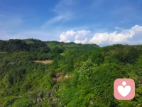 把情绪交给远山，让疲惫归于清风，这一刻，只觉安稳自在配图