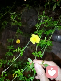 生活是旷野，不是轨道，按自己的节奏走就好。