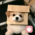 软萌信使🐳的头像