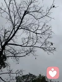 其实语言从来不只是沟通的工具，更是心理状态的镜子，也是治愈心灵的良药。好好说话，不仅是对他人的尊重，更是对自己内心的呵护，它悄无声息地影响着我们的情绪、认知与人际关系，深刻塑造着我们的心理健康。配图