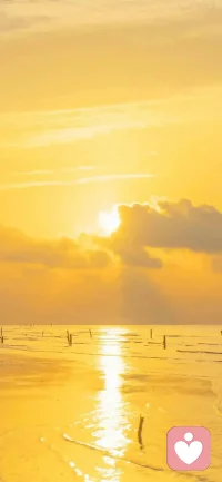 没关系，天空越黑，星星越亮。  
愿所有的不安，都是虚惊一场。