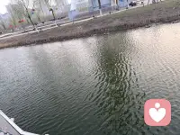 今天比昨天好就是希望。加油