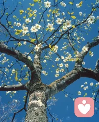 倾听师第一天报道~
不用在乎性别，不用觉得矫情，
每个人都有撑不住的时候。
今天第一天做倾听师，
愿做你情绪的出口，
温柔接住你的所有不开心。
第一天开工，欢迎来找我聊天~