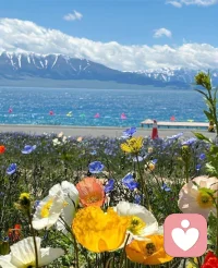 懂你的不易，听你的心事
专注文字倾听，安心倾诉
不催不逼，慢慢说就好
把心里的压抑都放下
这里只属于你