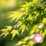 蓝潇| 专注职场心理|家庭育儿|情绪疏导的头像