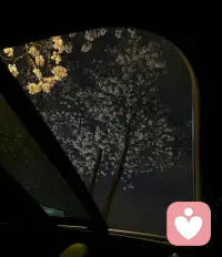 心理学研究发现：
我们日常能够觉察到的内心活动，仅仅只有5%；
而剩下95%的部分，都是藏在冰山之下的潜意识。

它像一双无形的手，
默默主宰着我们的人格、性格与心理模式。
人生里大部分际遇和选择，
冥冥之中，都藏着潜意识的影子。

荣格曾说：你的潜意识指引着你的人生，而你却称之为命运。

当潜意识与表层意识同频契合时，
我们更容易如愿以偿：
拥有向往的事业、经营好一段感情、活成自己喜欢的样子。

可很多时候，你拼命想要变好，结果却总是事与愿违。
其实不是运气不好，而是你的潜意识，在悄悄拖后腿。

生活里，你明明渴望富足，拼命赚钱，却始终留不住财富。
是因为潜意识早已认同了“自己不值得拥有美好”，
骨子里不相信自己，配得上安稳和富足。

感情里，你渴望被偏爱、被珍惜，
却总在亲密关系里内耗、争吵、反复失望。
意识想要靠近温暖，潜意识却一直在抗拒亲密、害怕受伤。

工作中，你永远觉得自己准备不足，
不敢争取、不敢展示，一次次错失机遇。
意识想要突破成长，潜意识却害怕改变、畏惧犯错。

迟迟无法晋升、攒不下积蓄、经营不好感情、反复陷入情绪内耗……
归根结底，都是意识和潜意识在互相拉扯、相互对抗。

倘若潜意识不被看见、不被觉察，
错误的人生模式就会无限循环，困局永远无法破局。

世间万物皆是镜像，
愿你慢慢向内探索，看见深藏的潜意识。

学着接纳自己的情绪、读懂真实的需求、和解过往的经历，
在自我觉察中治愈自己，打破固有内耗的枷锁。
跳出当下的迷茫与困顿，
清醒自愈，通透自在，活出真正的自己。

#焦虑 #心理成长  #内在觉察