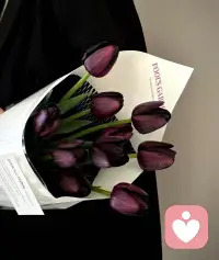 真正的强大不是对抗，而是允许发生。允许遗憾，愚蠢，丑恶，虚伪，允许付出没有回报。当你允许这一切之后，你会逐渐变成一个柔软放松舒展的人。