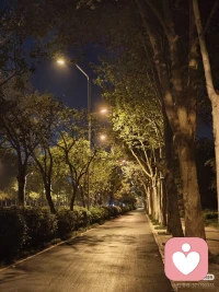 夜色温柔，晚风轻送，把烦恼都留在今天，愿你一夜好眠，梦里皆是欢喜配图