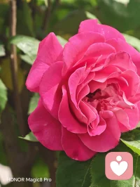 晚上好！宝，好久不见ᡴ⁽˶ᵔᴗᵔ˶⁾ꪫ