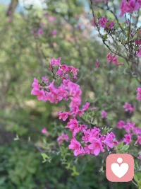 春光正好，不必匆忙奔赴，只管慢慢向春天走去，风会温柔相拥，花会如约盛开，往后自有不期而遇的美好，事事皆有温柔回甘✨