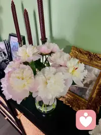 💖回到你自己，观察你自己，自我观察是一件特别有趣的事，这样去做一段时间之后，你就能毫不费力地继续了因为，当幻相开始破碎，你开始了知那些无法用语言描述的事
它被称为喜悦，每件事都变了，你开始对觉察上瘾
💖没人能显示给你如何去做。如果他人能给你个技巧的话，就在对你编程操控。

💖当你和某人讲话的时候，你是觉察到这个谈话还是你仅仅是陷在对话中？
当你对某人发火时，你觉察到了自己在发火还是你仅仅是认同了你的生气？
当你有时间的时候，你会研究你所经历的并尝试去理解吗？那从哪里来？它带出了什么？
我不知道任何其他的觉察的方法，你只是改变你的理解。那些你不理解以及没有觉察到的，是你在压抑。你没有变。但是当你理解的时候，整个情景就变了。

💖当你不为任何事而活时，你有你的一切技能，你有你的一切精力，你是放松的，你不用在意，无论你是输是赢都没关系。

💖人最难做到的不是身体上的特技或是智力上的成就，而是，收到仇恨回之以爱；包容拒绝者；承认你错了......这些在那个你不再认同自己为“我”的世界中是最容易做到的事。你可以说：“我错了！如果你了解我更多，你会看到我有多容易犯错。💞配图