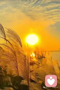 我们总以为，爱得越用力，关系就越牢靠。于是，父母为孩子倾尽所有，哪怕透支自己；伴侣为对方改变一切，哪怕失去自我；子女努力“疗愈”父母，哪怕背负沉重。可现实常常令人困惑：
为什么越是拼命去爱的关系，越容易让人感到疲惫、委屈，甚至彼此伤害？德国心理治疗大师伯特·海灵格，通过观察成千上万个家庭系统，揭示了一个容易被我们忽略的真相：许多关系的痛苦，并非因为爱得不够，而是因为—— “爱的秩序”出现了错位。当爱脱离了它应有的位置与边界，便会从滋养的能量，变为纠缠的绳索。配图