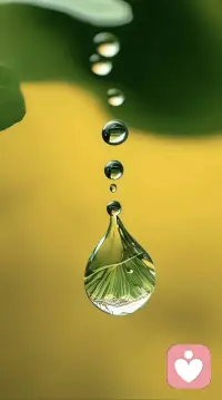 你以为是命运安排了这一切，其实是你灵魂深处的那个“我”，在投身之前，就亲手写下了这张地图。那些痛，是你允许的。那些泪，是你同意的。那些漫长而孤独的夜，是你选择要穿越的。不是为了受苦，是为了在苦里认出自己。