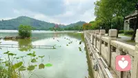 我常常因为拙劣的文笔配不上内心激荡的感受而保持沉默，该怎么形容这种感觉呢，我说不出来，大概是我善于感受，但拙于表达，我像是一座盛满细腻感知的孤岛，能感知道周围所有流动的情绪，但却始终无法将内心翻涌的波澜递向外界，不是所有的感受都能够用准确的文字去表达，于是有了词不达意，我想，我大概是一个很无聊的人吧。配图