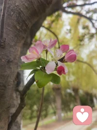 🍃

愿你今日，有羽翼渐丰的从容

不急于飞起，不怯于停留。在动静之间，感知那个正在变得更加完整、更加笃定的自己。所有的生长，都在你看不见的地方，悄然发生。