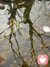 🍃

〔水的智慧〕

遇方则方，遇圆则圆，遇障碍则分流，遇深谷则成潭🪐

愿我们都能够拥有水的智慧，不较劲，不耗损，只是深深地信任生命本身的流向，以柔韧之姿，涵养万物，奔赴前程🍀