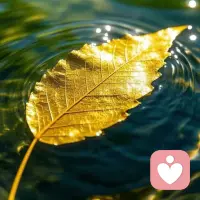 🍃

真正的力量，
不在于一直晴朗，
而在于冷暖交替之间，
你始终知道如何守护自己内在的、不灭的温热