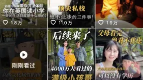 蔸兜